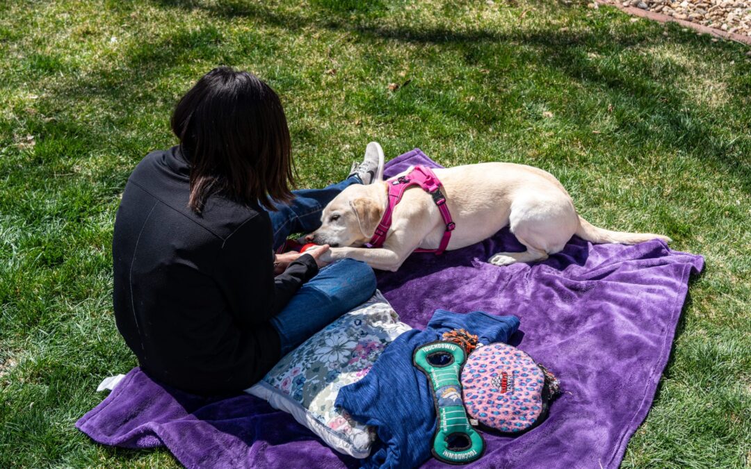 Considerations Around Outdoor Pet Euthanasia