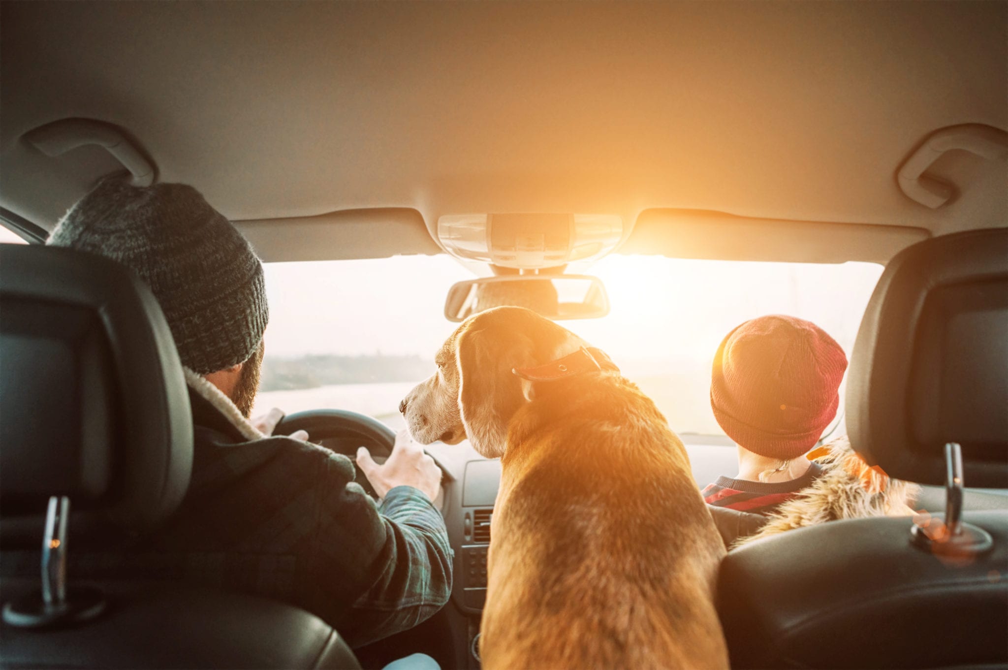 Father with son and beagle dog traveling together by auto rear seats wide angle shoot