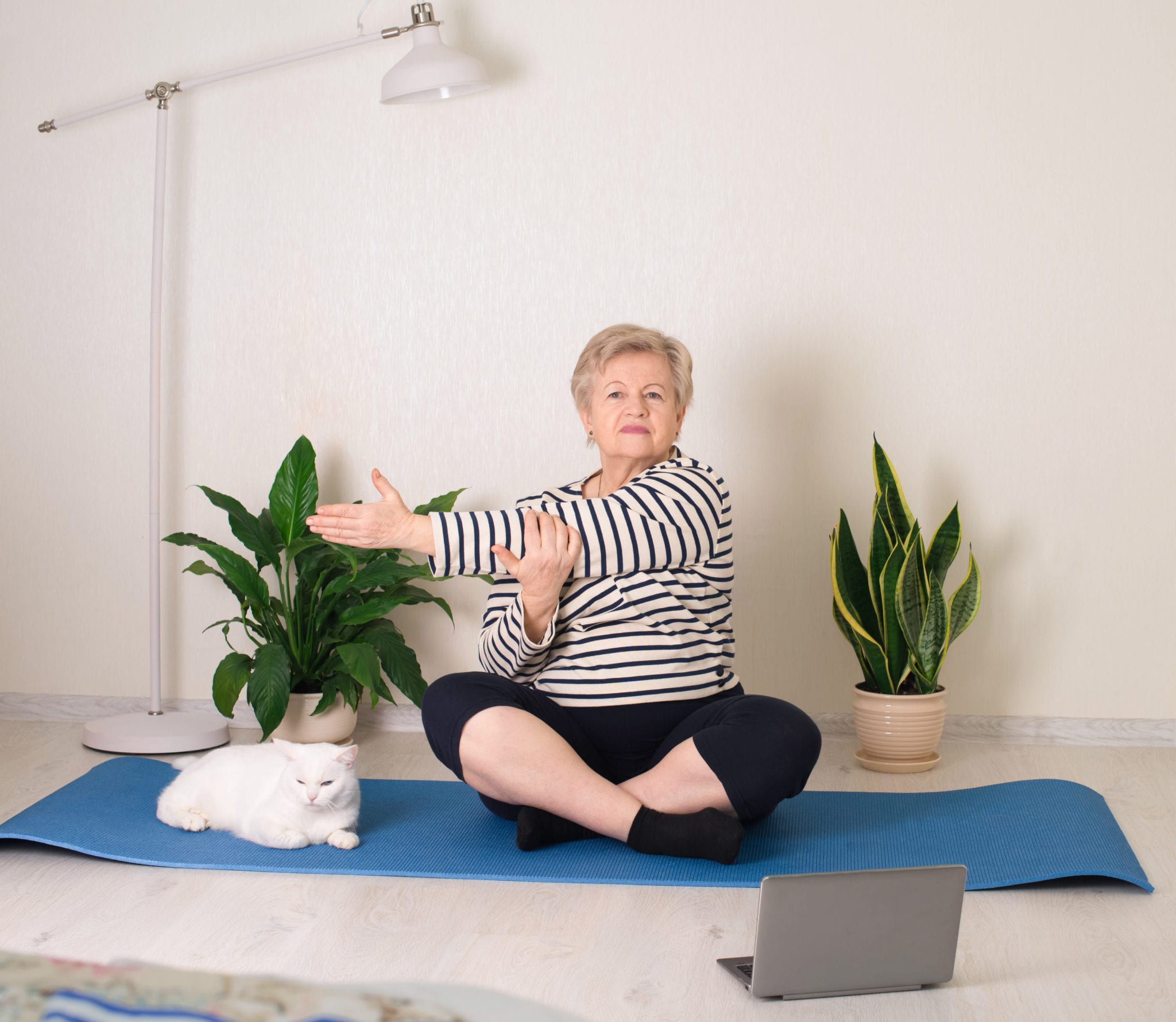 Fitness training online, senior woman at home stretching with cat and tablet computer laptop. Old people  health and lifestyle concept.