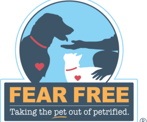 Offering a “Fear Free” Experience for Your Pet’s End-of-Life Journey