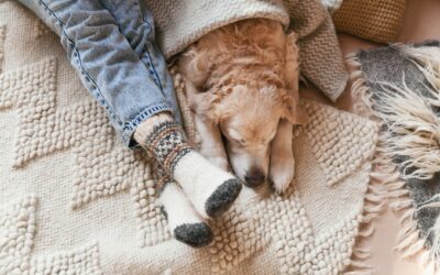 7 Comfort Hacks for Senior Pet Caregivers