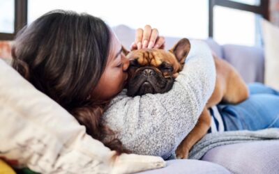 10 Proven Ways Pets Improve Mental Health: Science-Backed Benefits