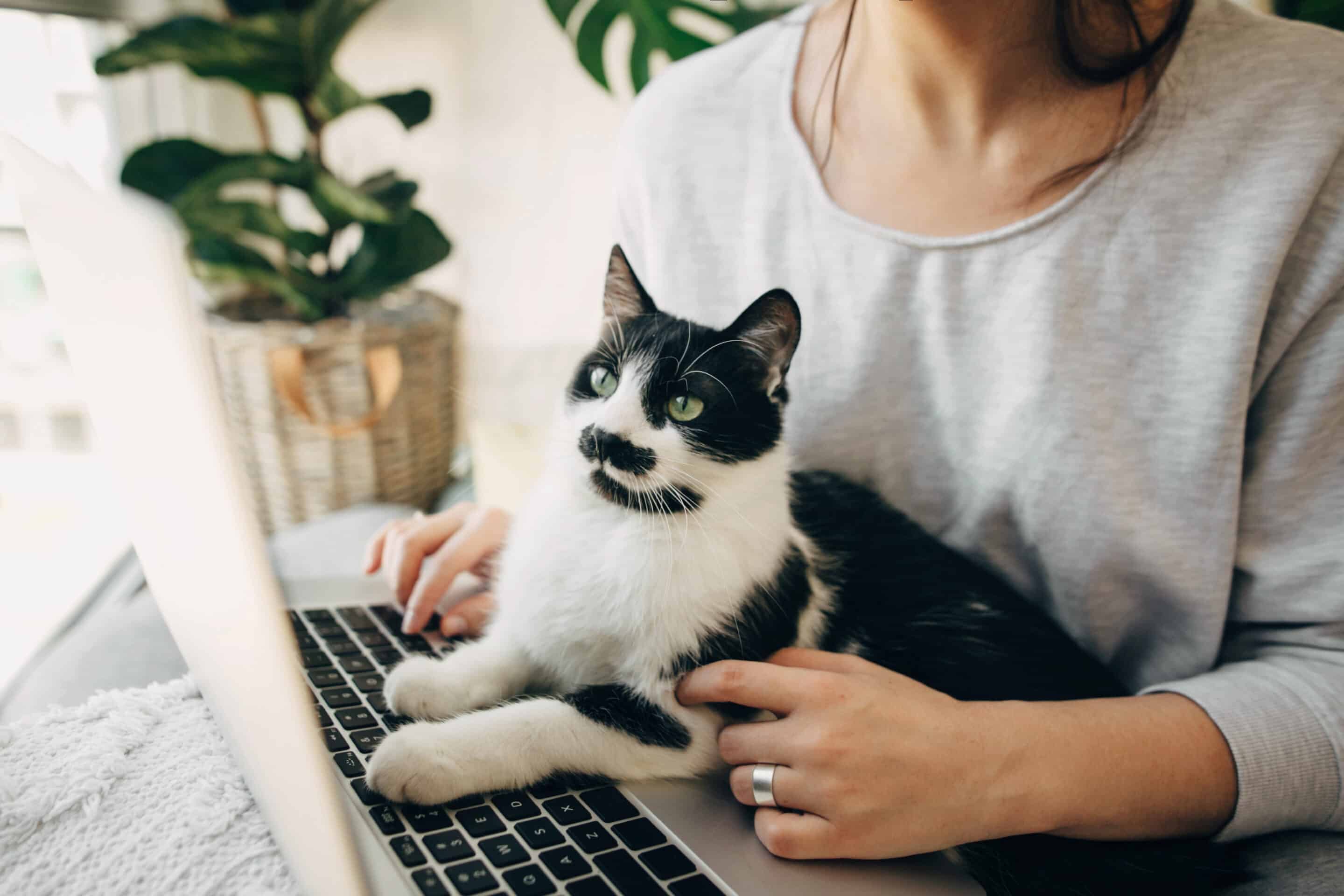 Request an In-Home Visit
