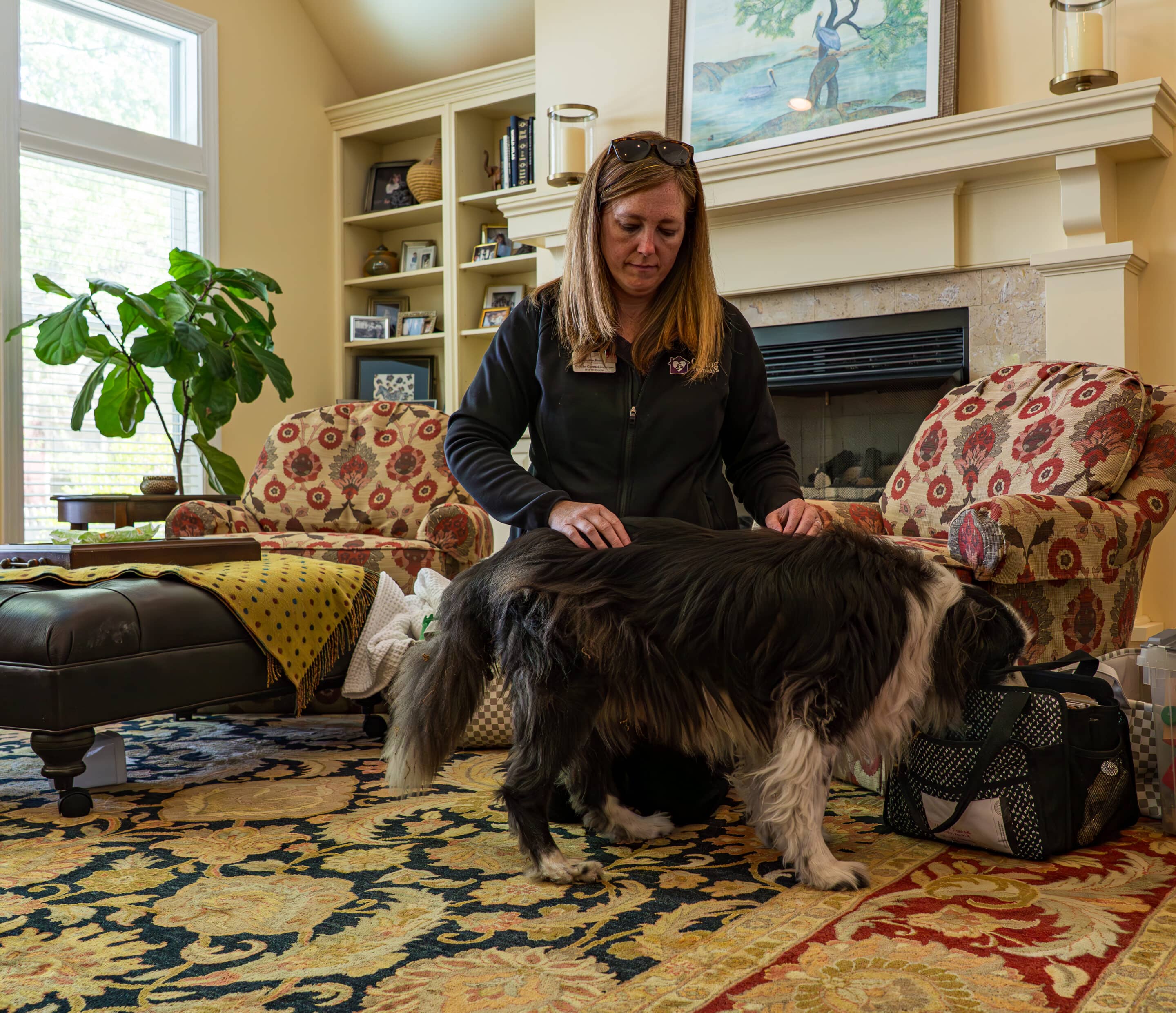 Pet Hospice