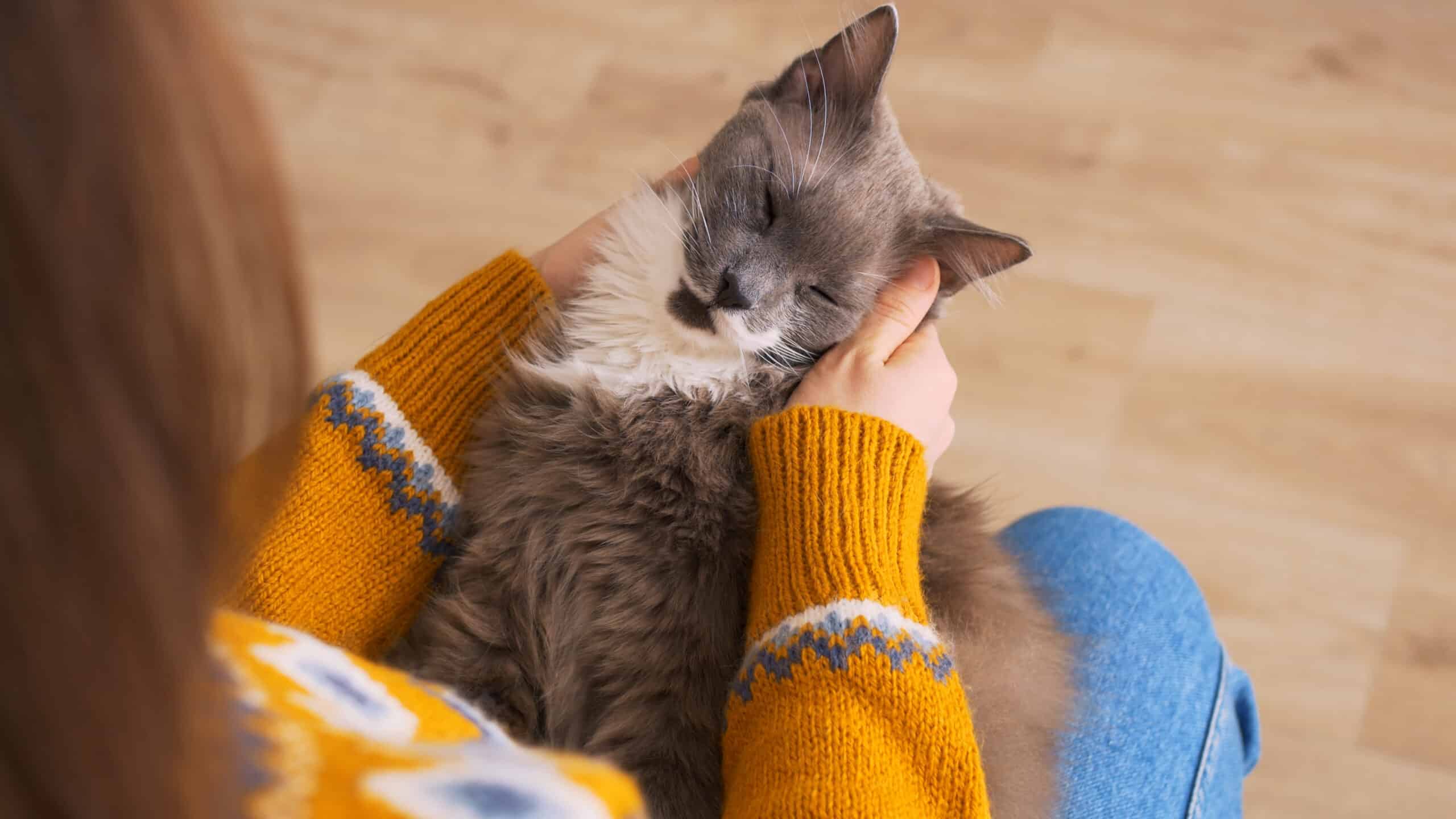 Request an In-Home Visit