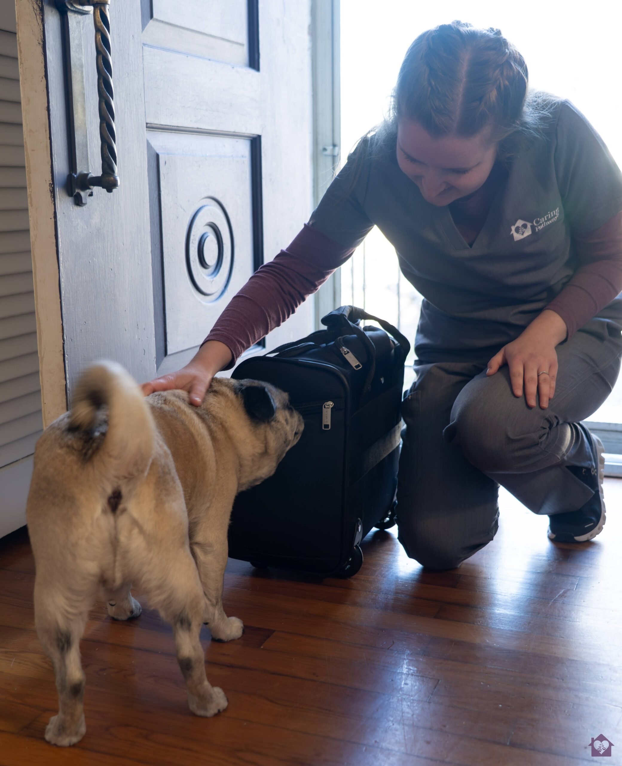 Our Story: Veterinarian Comforts Old Dog