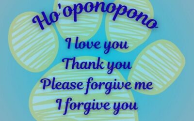 Coping With Pet Loss: Four Simple Phrases That Can Bring Comfort